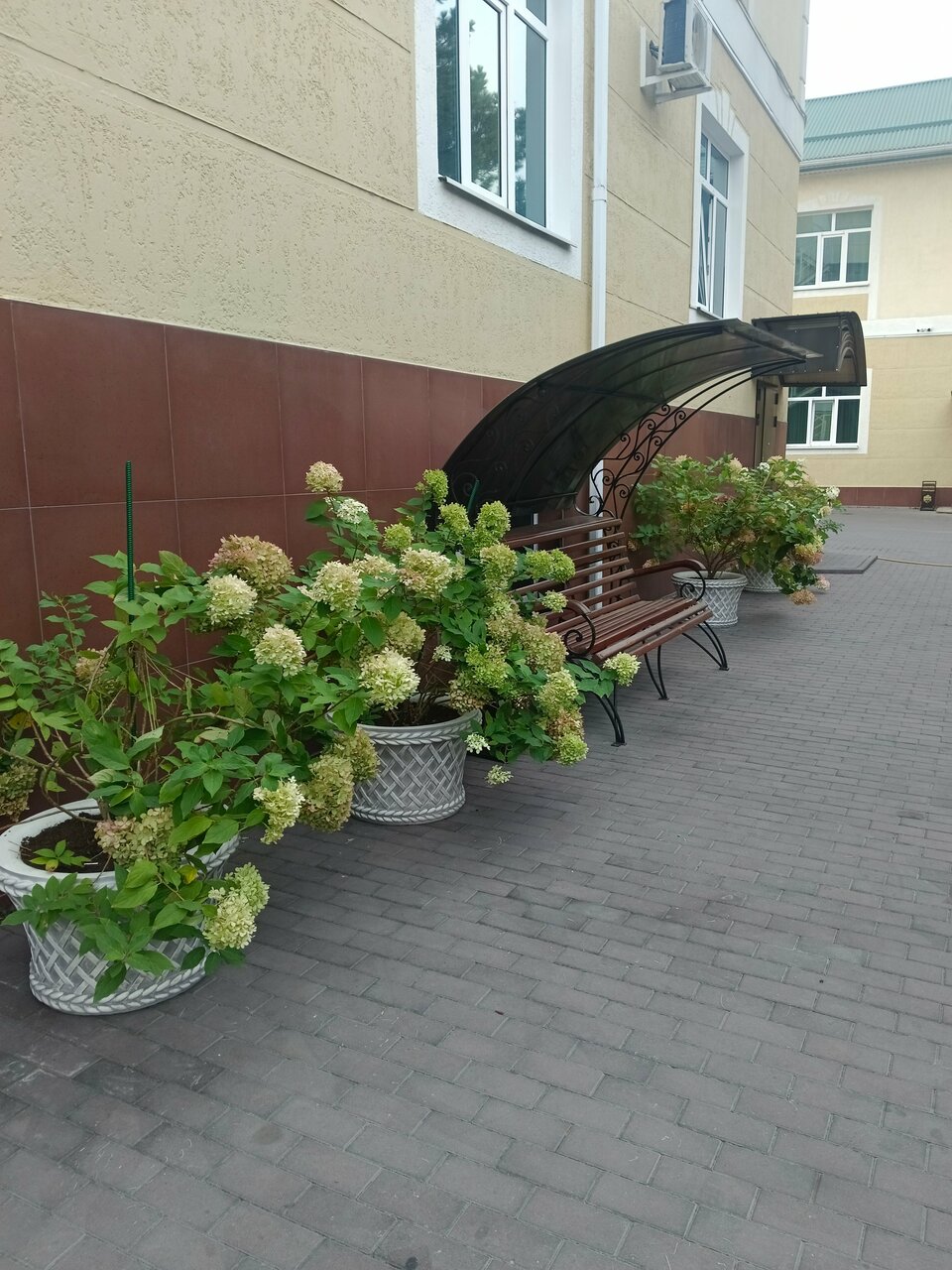 Гостиница Эдельвейс Черкесск-160