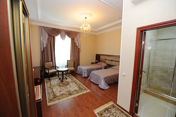 Гостиница Эдельвейс Черкесск-223