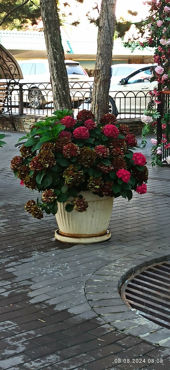 Гостиница Эдельвейс Черкесск-177