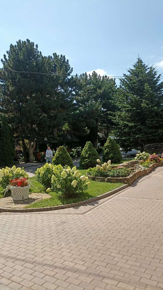 Гостиница Эдельвейс Черкесск-183