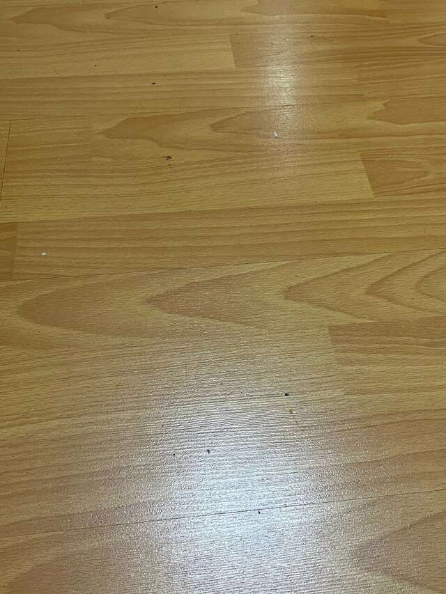 Гостиница Эдельвейс Черкесск-191