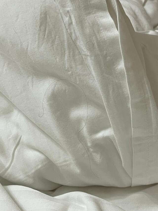 Гостиница Эдельвейс Черкесск-162