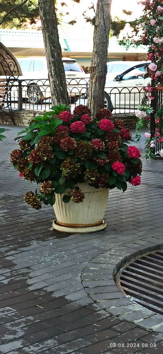 Гостиница Эдельвейс Черкесск-176